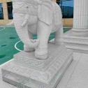 宣城 白麻花岗岩动物异形石雕-大象