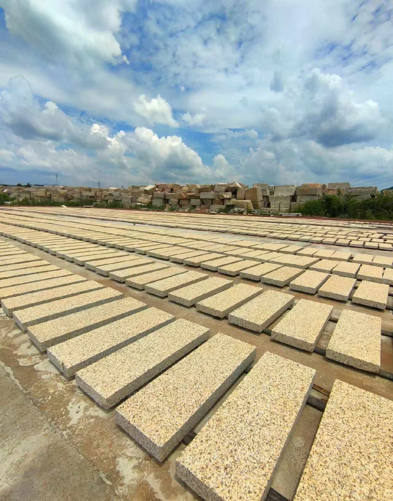 宣城 黄金麻荔枝面花岗岩石材地铺石防护中