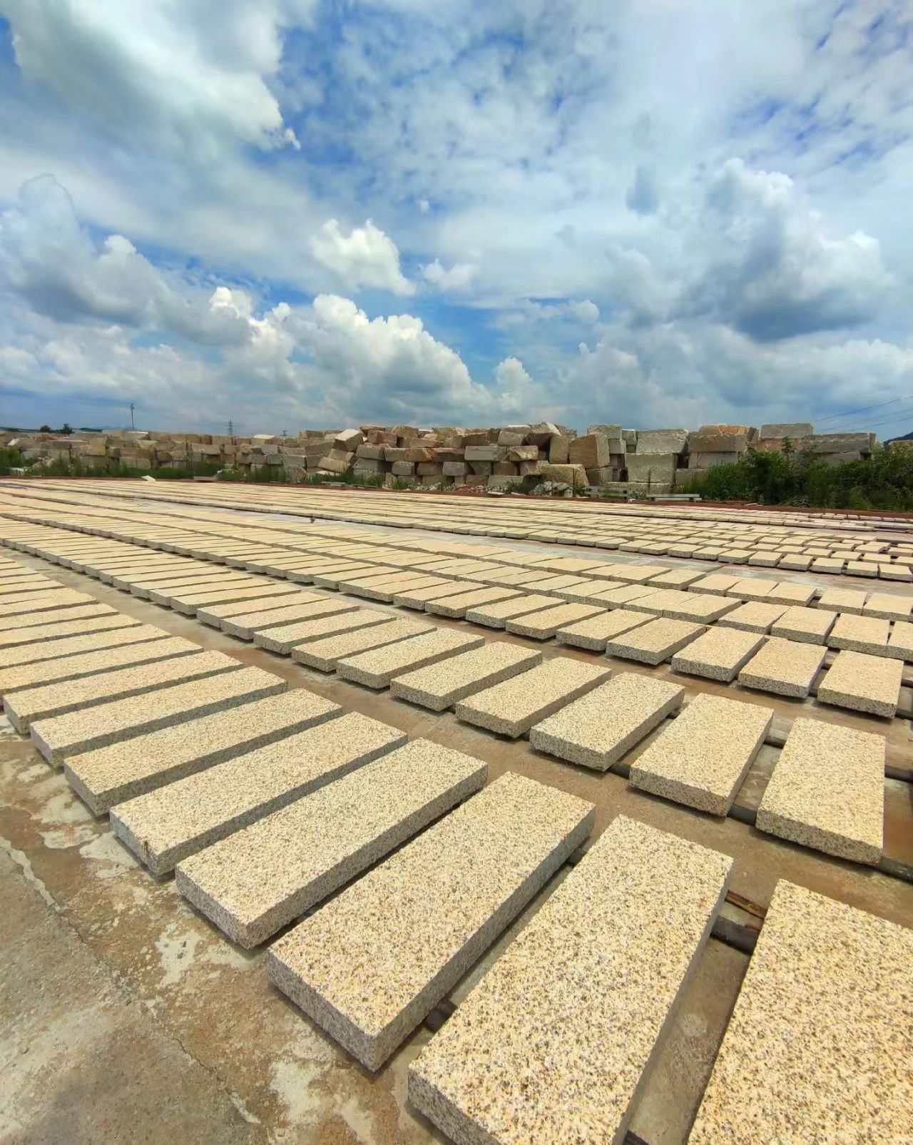 宣城 黄金麻花岗岩荔枝面地铺石防护中