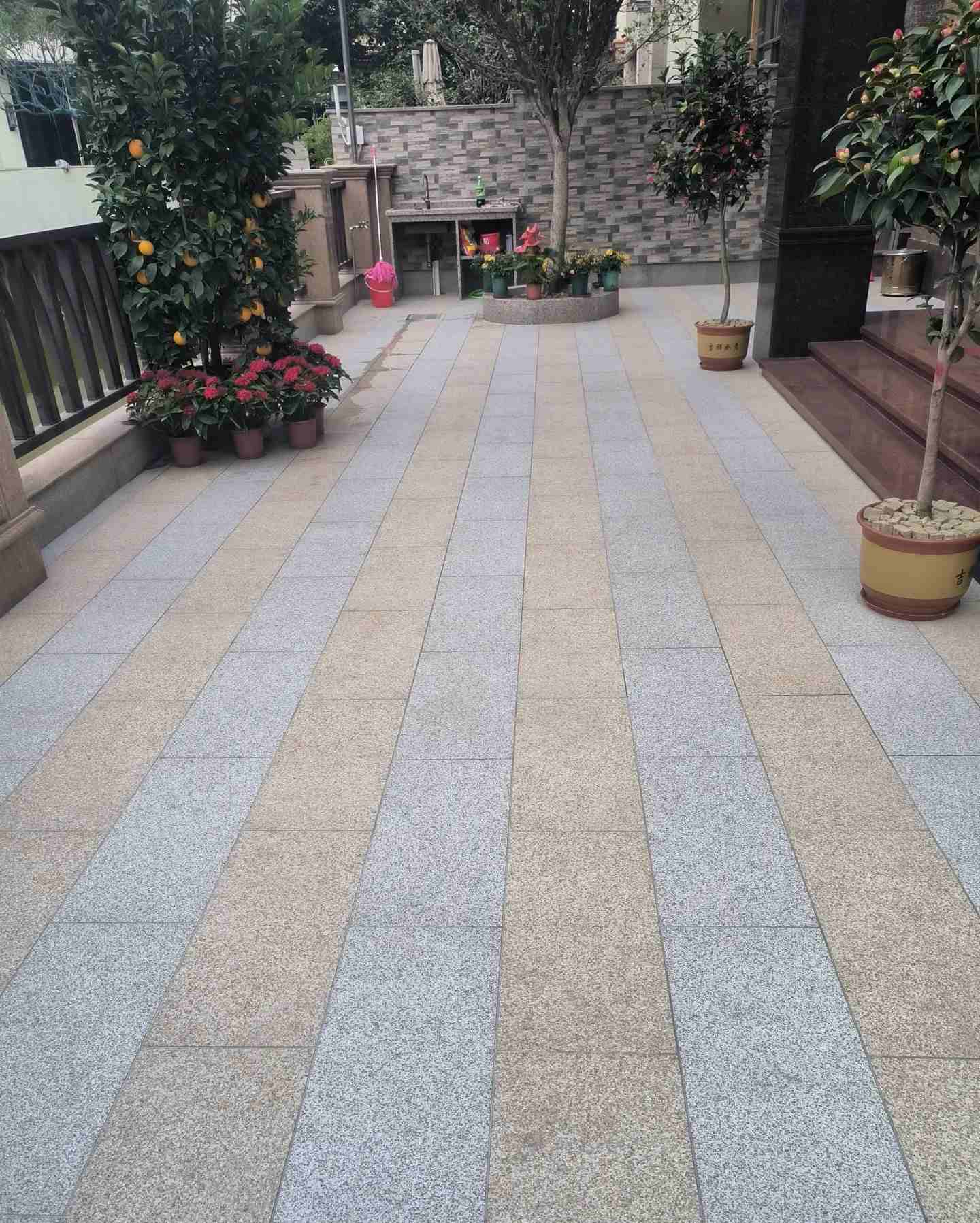 宣城 黄金麻白麻荔枝面庭院铺装展示